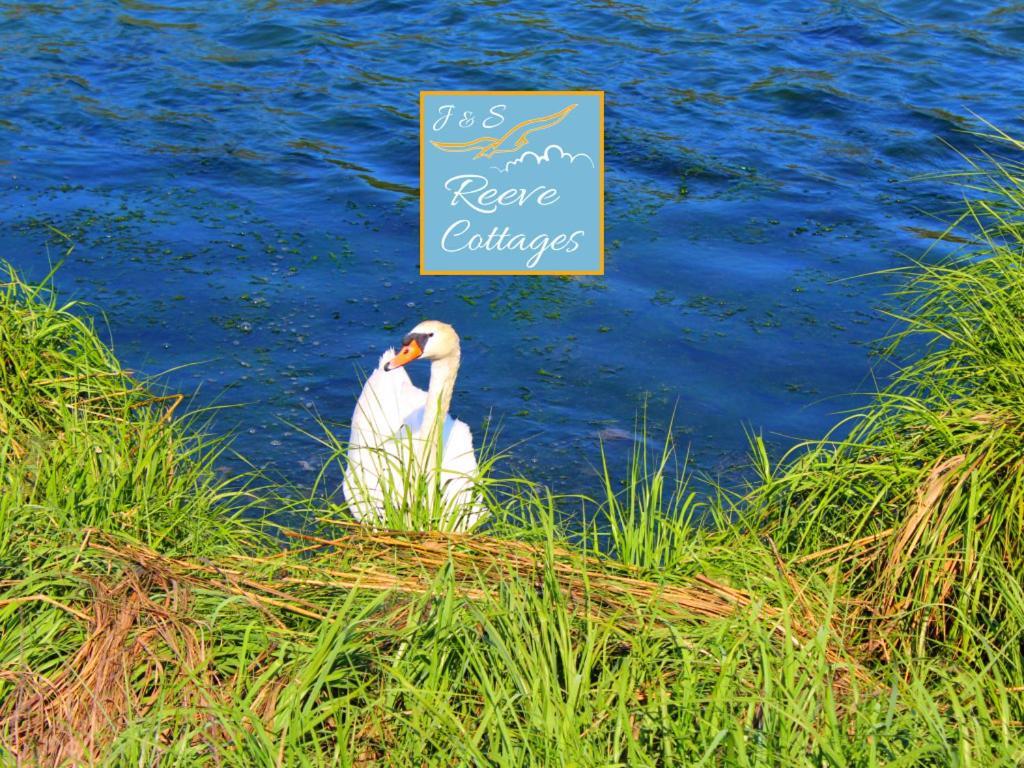 Premier Waterfront Cottage 2 리버헤드 외부 사진